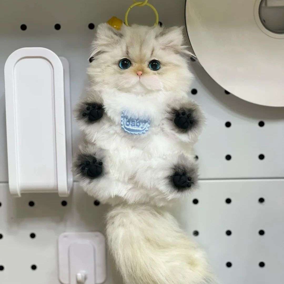 DIY Pipe Cleaner Kitten Kit - Cute Gift for Her